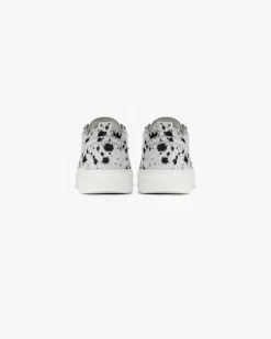 Represent HTN Low -><noscript><img width=